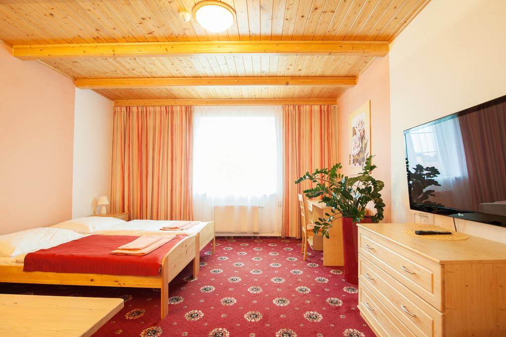 Sport-V-Hotel Hrotovice Cameră foto